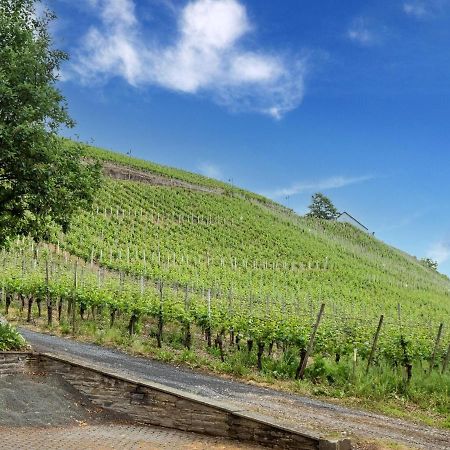 Charming Holiday Home In Neumagen Dhron エクステリア 写真